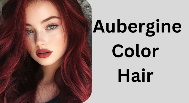 Aubergine Color Hair Ideas to Inspire Your Next Salon Visit